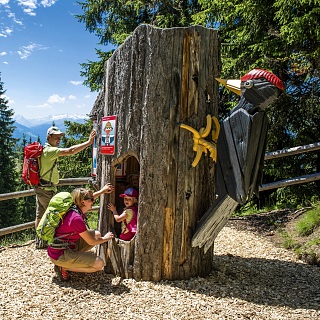The Kitzbühel Alps Summer Card